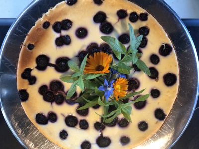 Bosbessen-cheesecake met witte chocolade